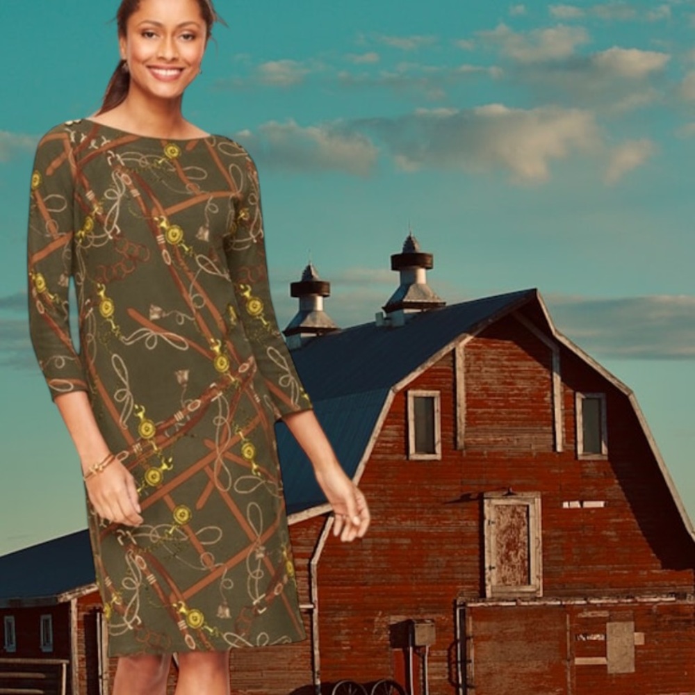 TALBOTS PETITE OLIVE GREEN EQUESTRIAN PRINT SHIFT DRESS SIZE LP - Picture 6 of 16